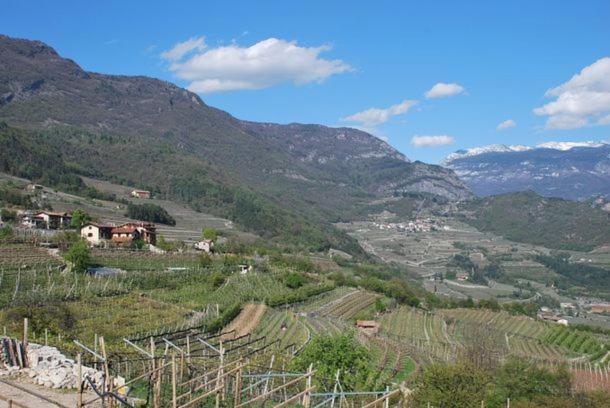 Agritur Le Pergole Hotell Villa Lagarina Exteriör bild