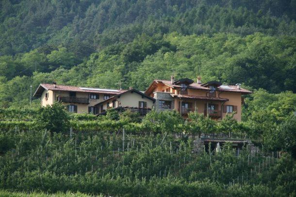 Agritur Le Pergole Hotell Villa Lagarina Exteriör bild